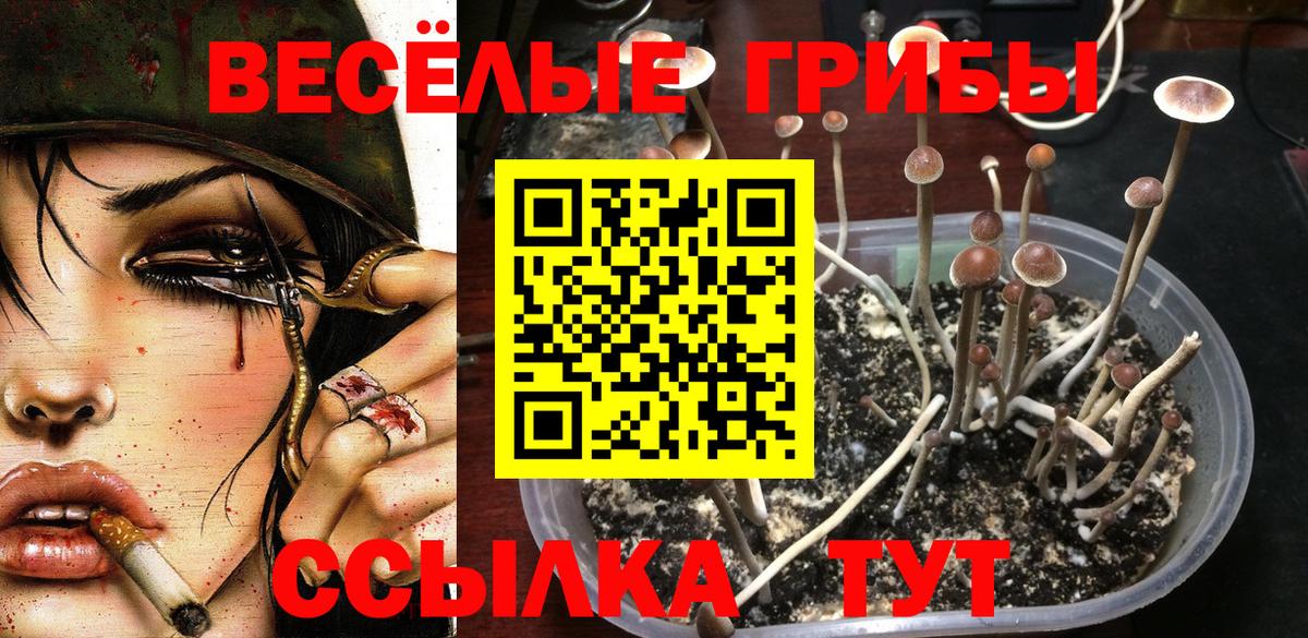 Галлюциногенные грибы прущие грибы Домодедово