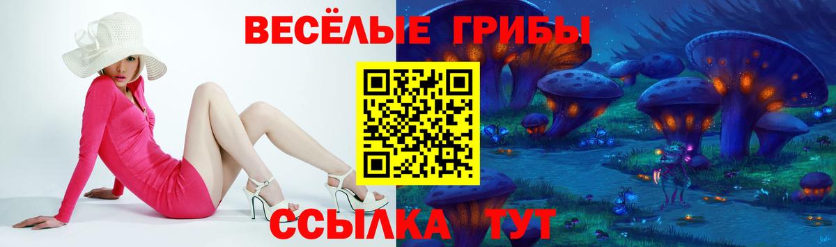 Псилоцибиновые грибы мицелий  Домодедово  Галлюциногенные грибы Psilocybine cubensis 