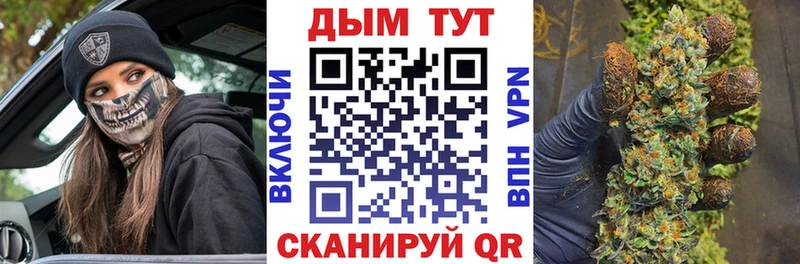 Бошки Шишки планчик Домодедово